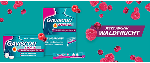 GAVISCON Dual